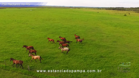 Os Tiranos - Bailando o chamamé [VDownloader].00_03_55_08.Quadro029_54159ef1074846d3c08157d899d74d032f9f524b.jpg